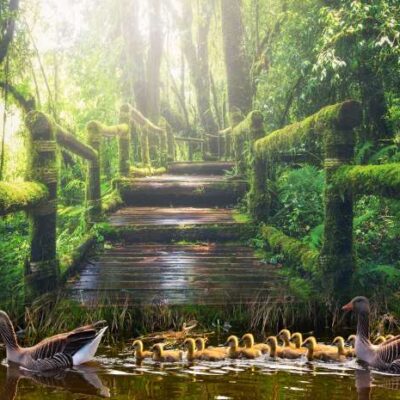Zaunposter & Gartenposter Park mit Enten – wetterfestes Outdoor-Poster aus Polyester | UV-beständig, PVC-frei & blickdicht | 300 g/m²